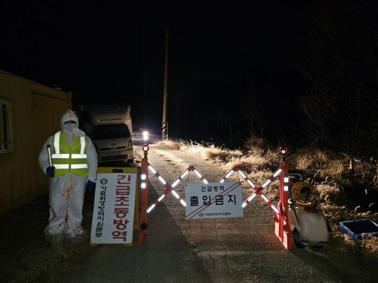 나주 육용오리농장서 'H5형 조류인플루엔자' 항원 검출