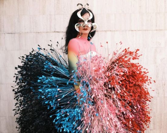 아이슬란드 국민가수 비요크 "그린란드 독립 응원"