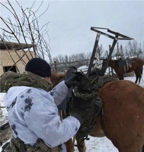 안장 위 '스타링크 위성안테나'…러시아, 우크라전에 말·낙타 투입