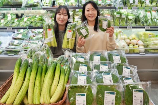 "한파에도 맛과 품질 그대로"…롯데마트, 스마트팜 깻잎·오이