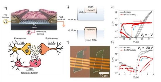 뇌처럼 학습하는 AI 반도체, '신뢰성' 문제 풀었다[과학을읽다]