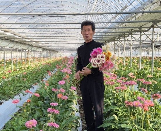 현장에서 증명된 꽃의 경쟁력, 봉화 농업의 답이 되다