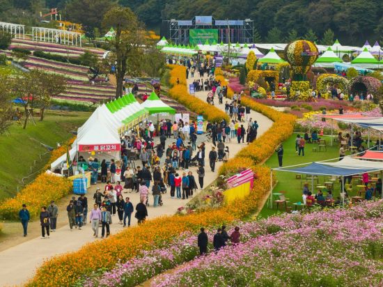 화순 고인돌 가을꽃 축제 '2026 전라남도 대표축제' 선정