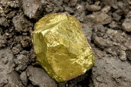 석유에 '금 복'까지 터졌다…금 매장량 221t 추가 확인