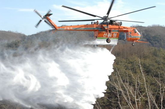 '산불조심기간' 이달 20일부터 앞당겨 시행