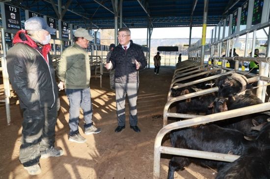 ‘개 식용 이후’를 준비한 현장…예천, 염소로 축산의 길을 다시 묻다