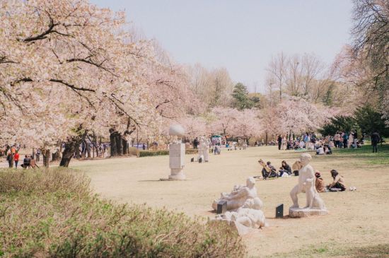 K-콘텐츠 촬영 명소 2위는 청계천…1위는?