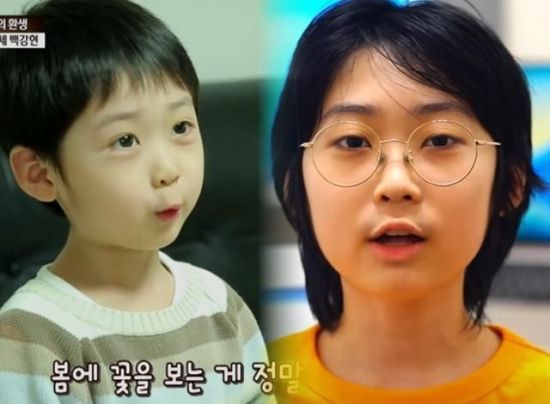 'IQ 204' 영재소년 백강현 "주저앉아 울었다…옥스퍼드 불합격"