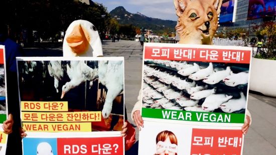 "산채로 껍질 벗기고 깃털 뽑고"…동물단체, '모피 반대' 캠페인 벌여