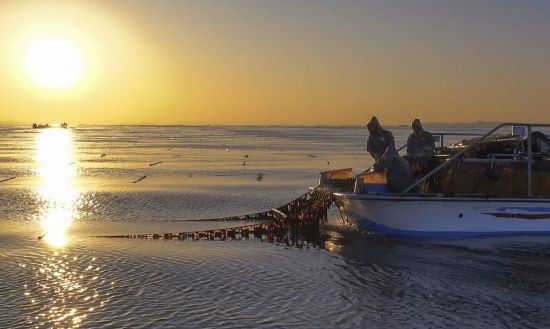 충남 김, 세계 식탁을 뚫다…수산식품 수출 3년 연속 2억 달러 돌파