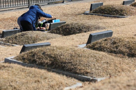 "대출 막히잖아"…내 땅에 묻힌 남의 어머니 분묘 파헤친 60대 집행유예