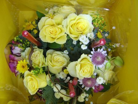 [송광섭의 꽃예술&조경]"IT 이후는 정서산업이 지배한다"