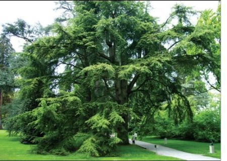 "물질이 풍요해질수록 자연과 멀어진다"