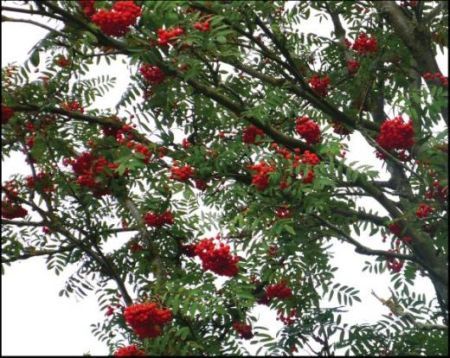 "물질이 풍요해질수록 자연과 멀어진다"