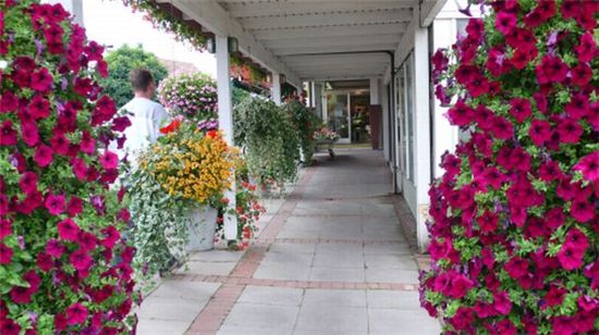 "꽃과 나무는 사람이다"