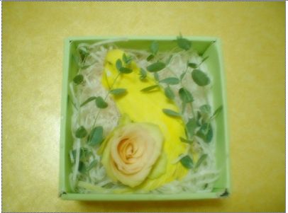 [마니아]낙조(落鳥)..사랑을 잃다