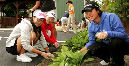  오지영과 신지애, 박희영(왼쪽부터)이 봉사활동에 참여해 잡초를 뽑고 있다. 사진=JNA제공