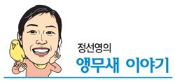 [마니아]앵무새가 편식을 해요