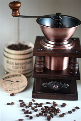 [마니아] 1잔 4만2000원짜리 커피의 비밀