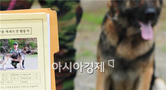 한국군 군견 총 1천400여두 보유