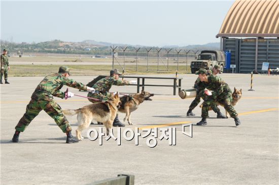 악바리 전투요원 군견의 조건