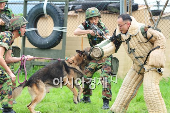 공군 제3 훈련비행단 군견소대