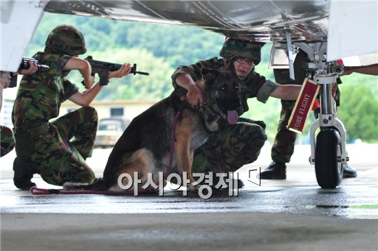 공군 군견은 기지내 전투기 주기장과 침입자를 막는 야간 순찰임무를 주로 수행한다. 
