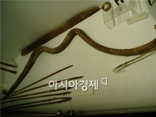 “총포는 내 인생” 무기수집에 빠진 소년