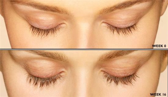 '최적의 속눈썹 길이는?', 눈너비 3분의 1이 적당 "너무 길면 안구 건조해…"