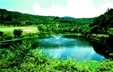 88인수전 치열 "새주인은 누구?"