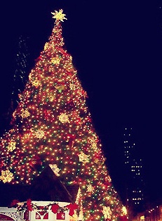 11월의 크리스마스 