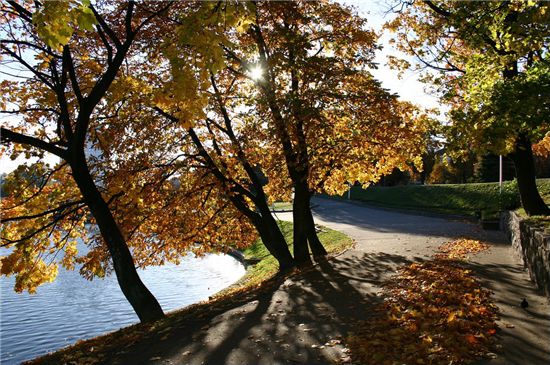 [양승열의 건축외전④]도시 산책의 즐거움