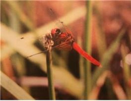 여름방학 맞이 어린이 대상 자연체험행사 '풍성'