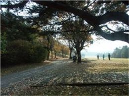 이포, 무제한 예약 '주중회원권'