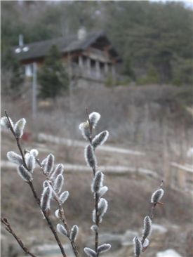 [마니아]전원주택 땅은 계획없이 건들지 말라!