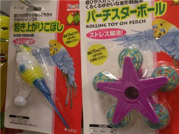 [마니아]"도쿄에서 만난 518엔짜리 가짜친구"