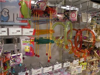 [마니아]"도쿄에서 만난 518엔짜리 가짜친구"