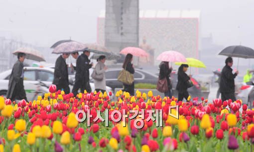 [날씨]천둥·돌풍 동반한 요란한 봄비