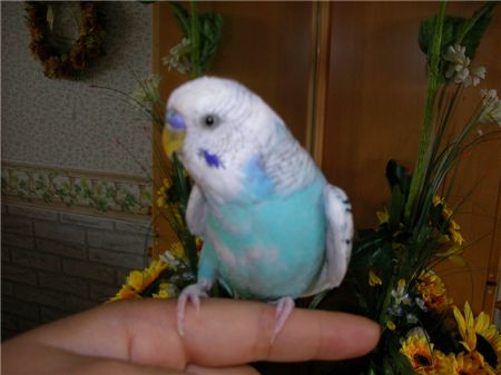 [마니아]마음을 읽고 싶다.