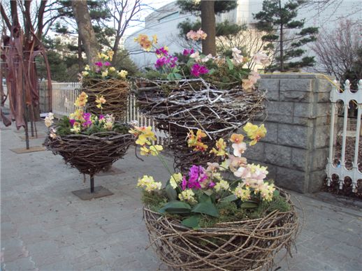 [마니아]화려한 '꽃 예술세계' 만끽하세요..여의도 봄꽃장식대회