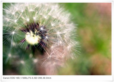[c3-00-014.jpg 프레이밍]