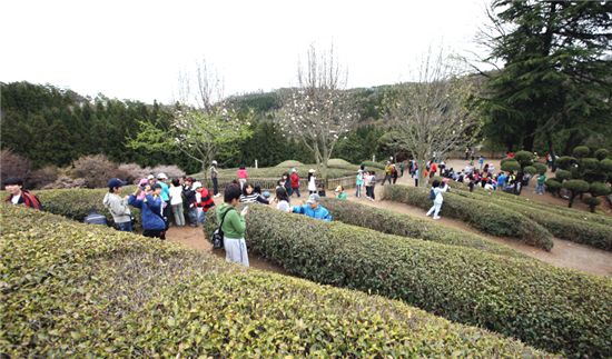수학여행비 최대 65배 차이 "130만원 낸 곳도"
