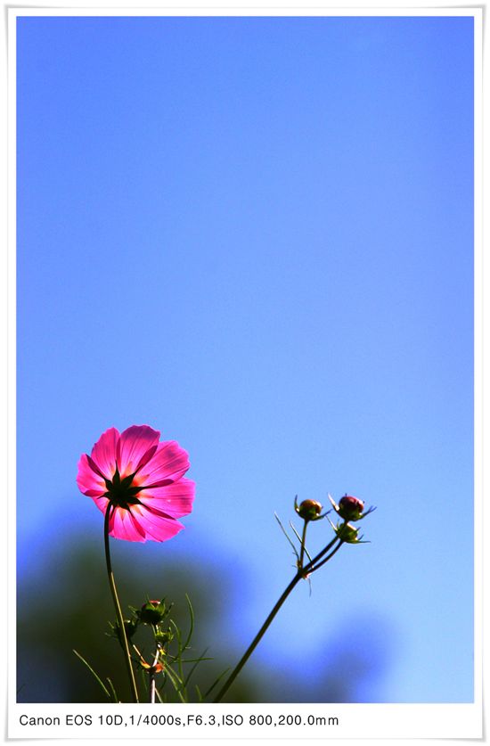 [c3-00-032.jpg 로우앵글1]