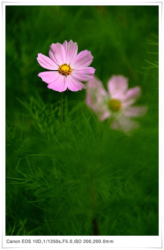 [c3-00-033.jpg 로우앵글2]
