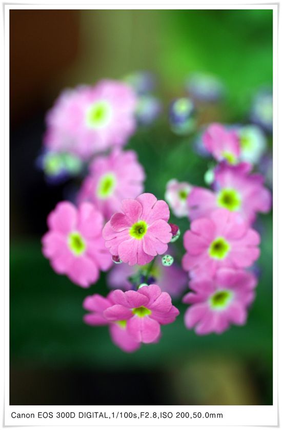 [c3-00-035.jpg 하이앵글2]

