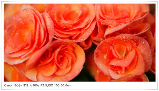[c3-00-036.jpg 풀 프레임 앵글1]

