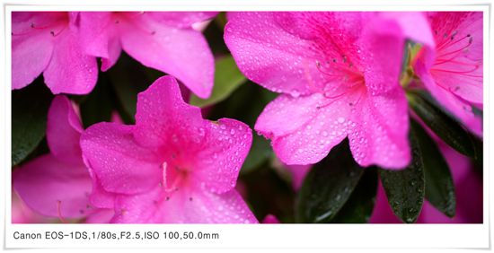 [c3-00-037.jpg 풀 프레임 앵글2]
