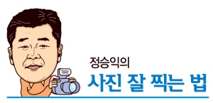 [마니아] 무조건 가까이 찍으면 접사? NO!