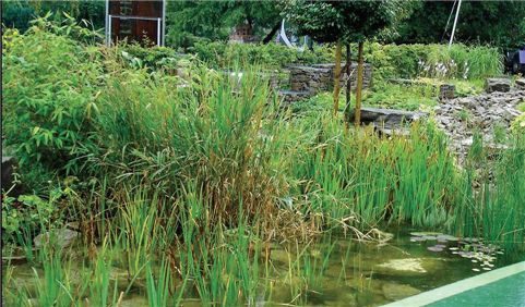 [마니아]<조경실무⑦>정원에 생동감을…연못-분수