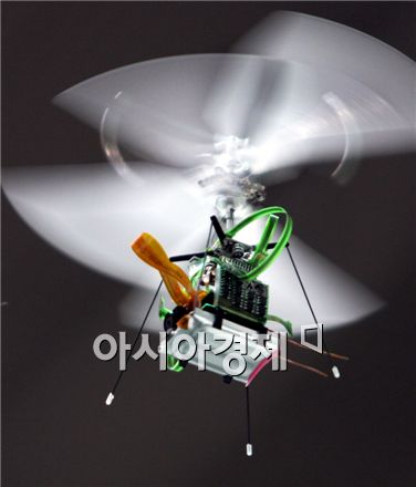 적진침투하는 '스파이 곤충' 만드는 방법